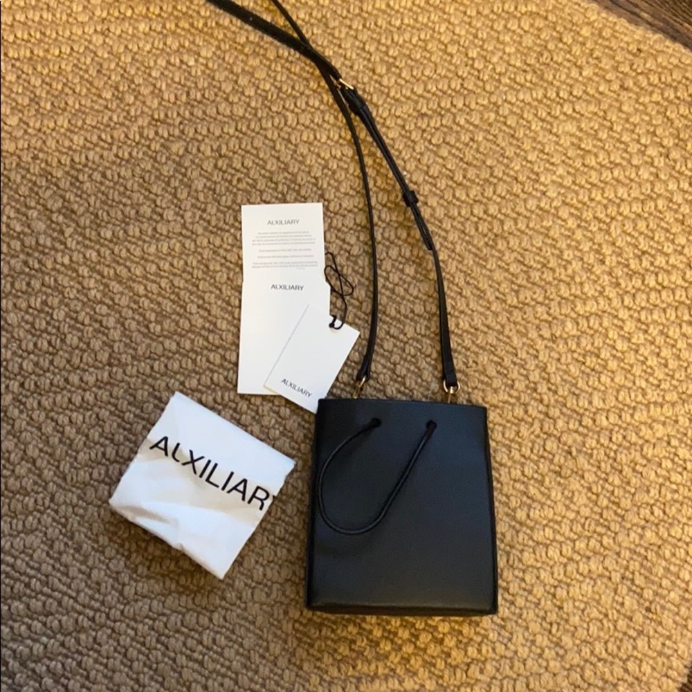 Aritzia- Auxiliary Bag